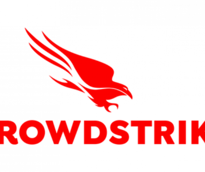 Crowd Strike logo